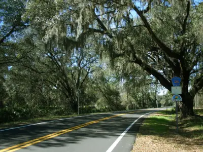 Alachua